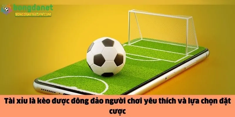 Tài xỉu là kèo 